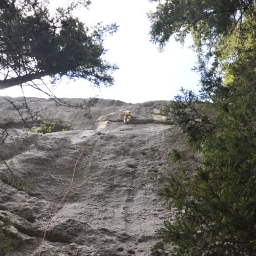 La Falaise d'Ablon